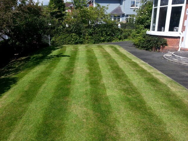 lawn under pressure