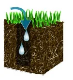 aeration graphic on lawn
