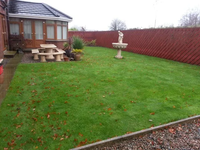 back lawn recovered back recovered