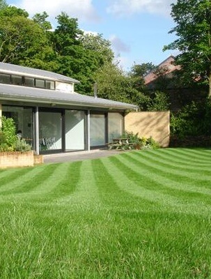 One of our premier lawns