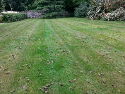 aeration