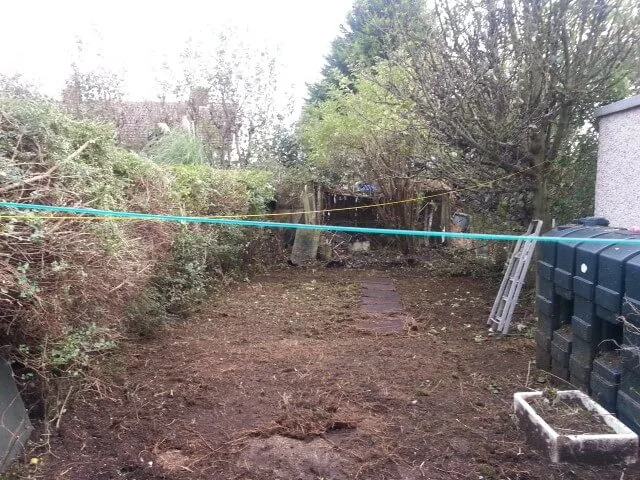 cleared garden