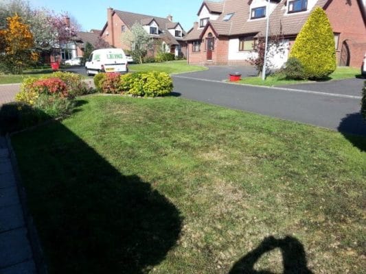 treated with moss killer and aerated