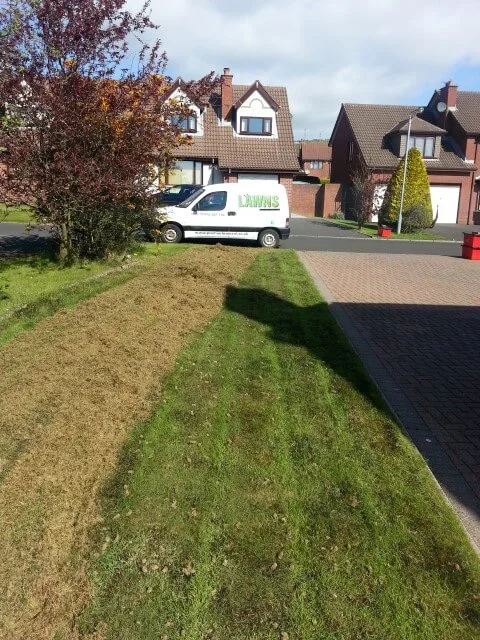 lawn scarified