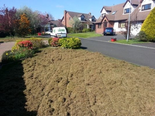 front lawn double scarified