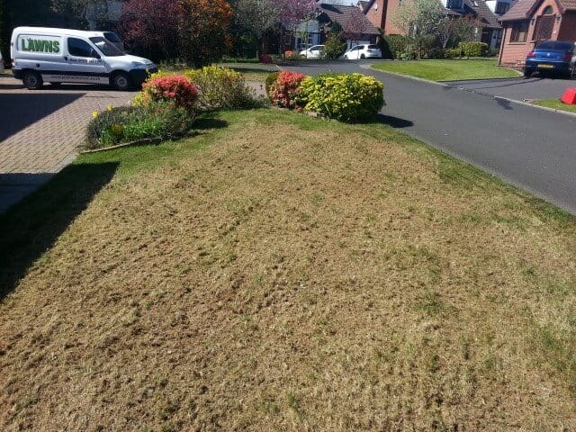 double scarified and debris lifted