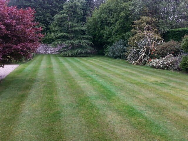 Cultra lawn