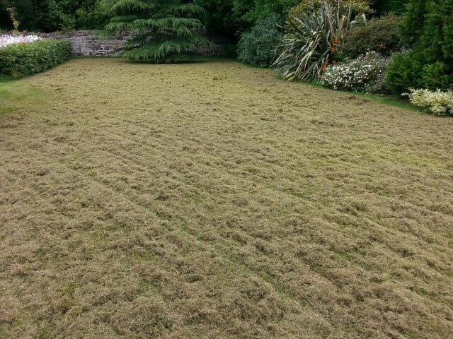 Cultra lawn scarification