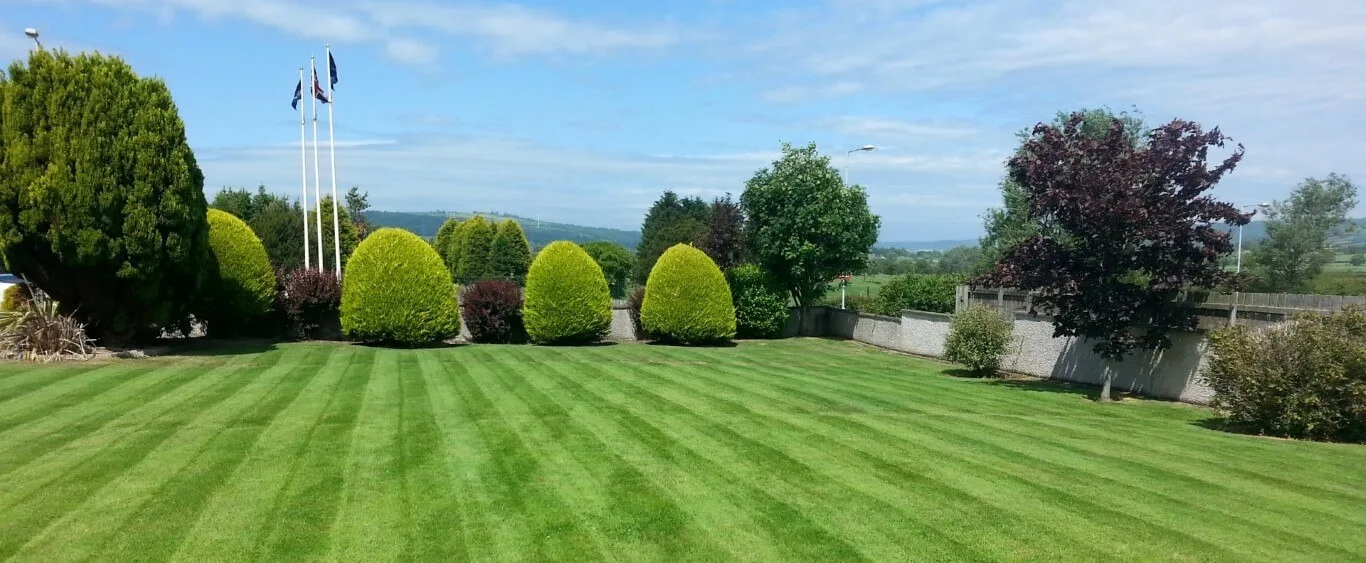 A stunning lawn in Whitehead managed and maintained by Premier Lawns