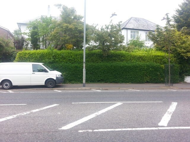 belfast hedge