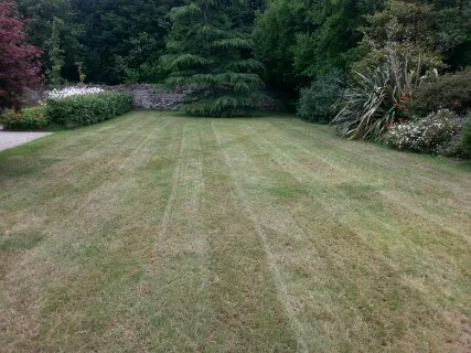 scarification complete