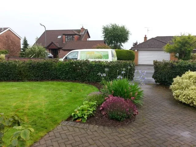 Copper Beech afterwards 4