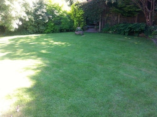 glengormley small lawn after scarification