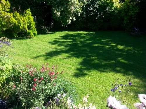 glengormley small lawn and flowers