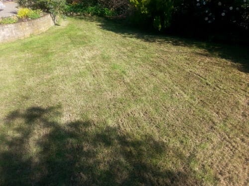 glengormley small lawn in a garden scarified