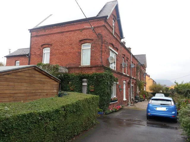 ivy cut back newtownabbey