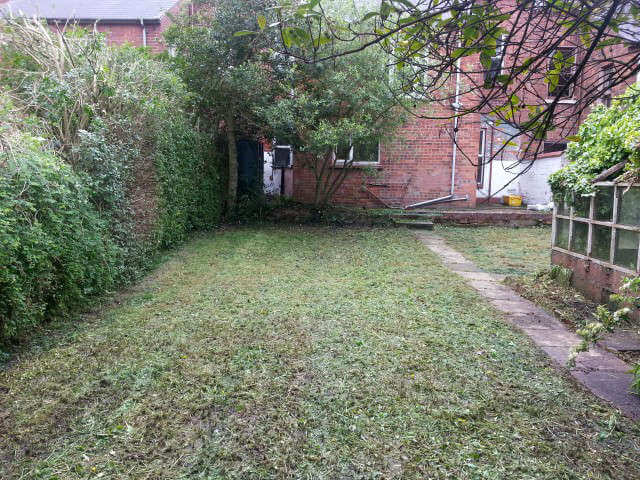 newtownabbey overgrown garden after