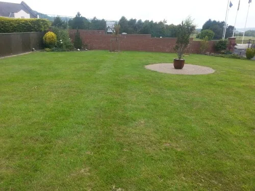 whitehead lawn sanded