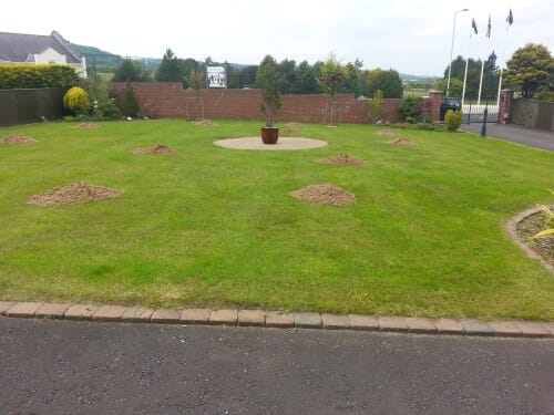 whitehead lawn with topdressing piles