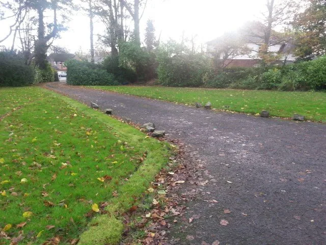 lawn in winter covered in leaves