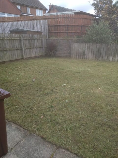 cleared back lawn