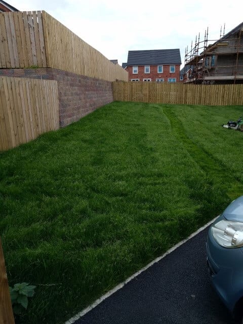 first cut new lawn