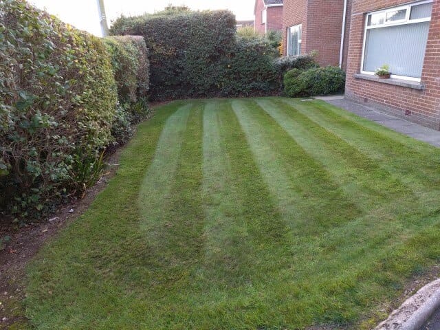 greenisland grass cutting