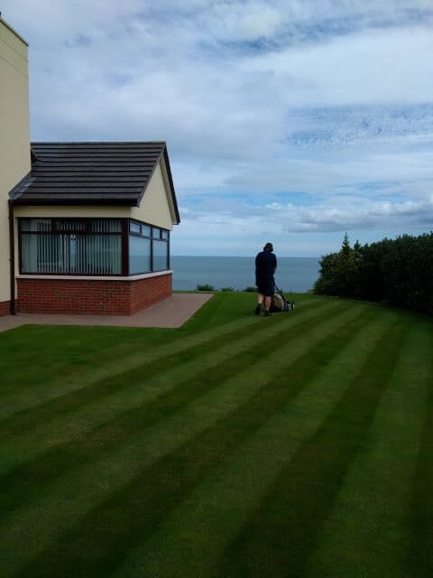 guy cutting strippy lawn