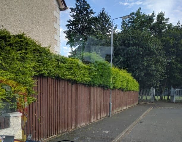 high hedge glengormley