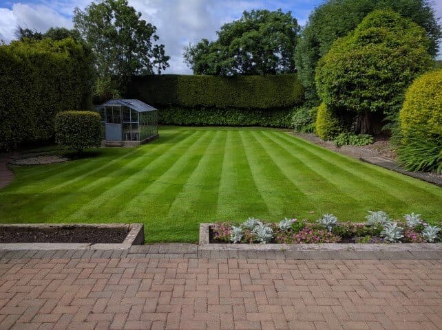 Striped lawn store