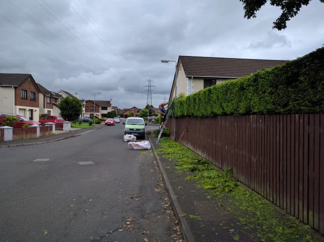 man cutting hedge