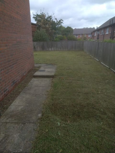 tidy side lawn