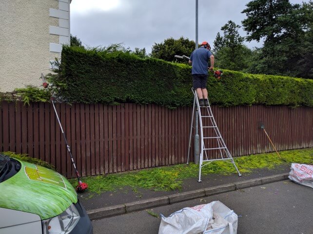 tripod ladders hedge cutting