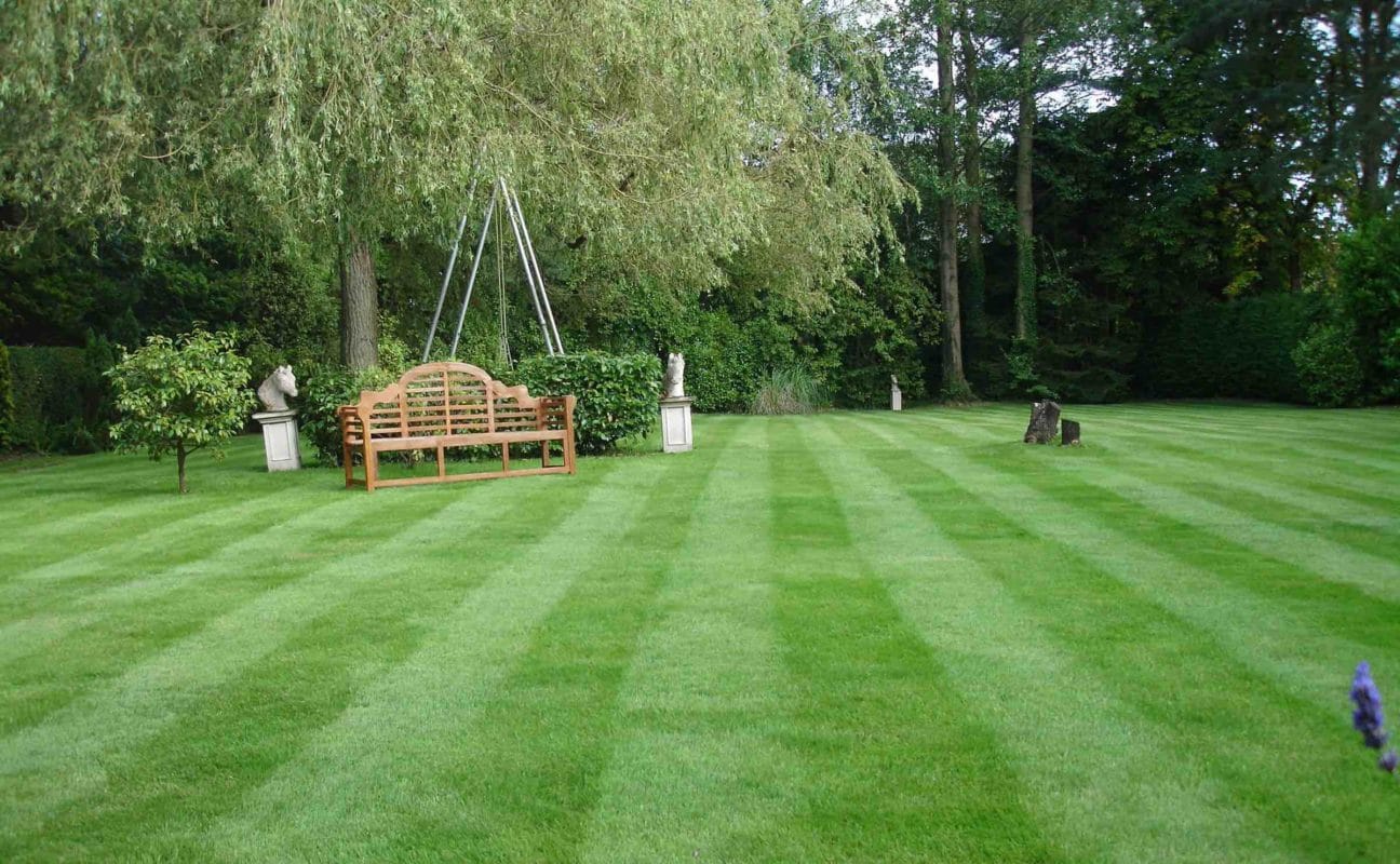 prepare your lawn for summer