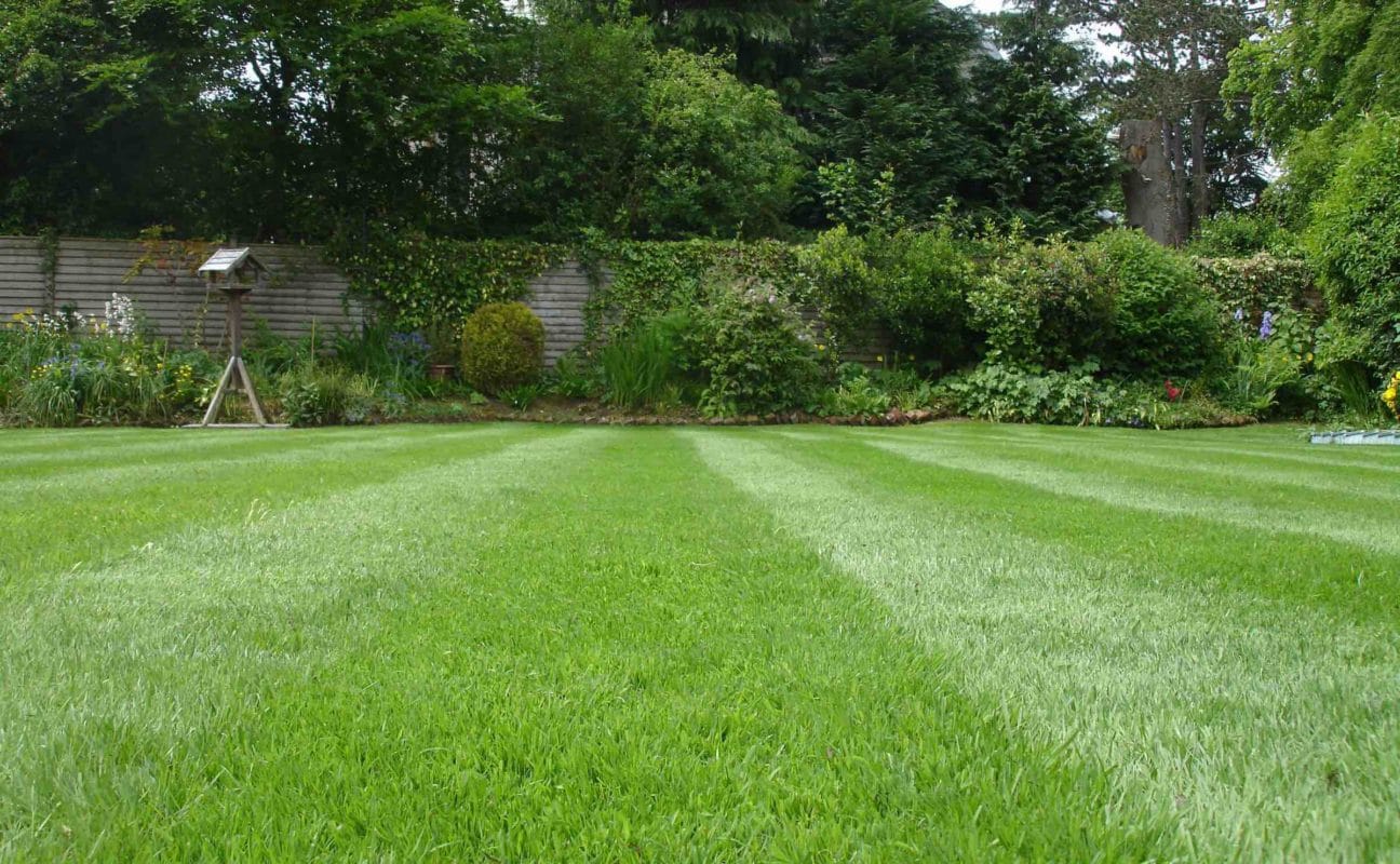 Lawn mowing and grass cutting service from Premier Lawns leaving a stripy finish.