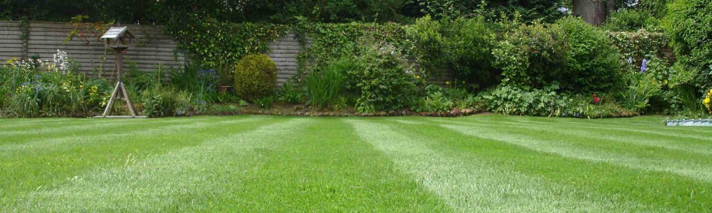 Lawn mowing and grass cutting service leaving a stripy finish.