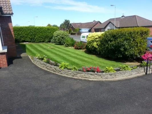 Newtownabbey garden cut by premier lawns