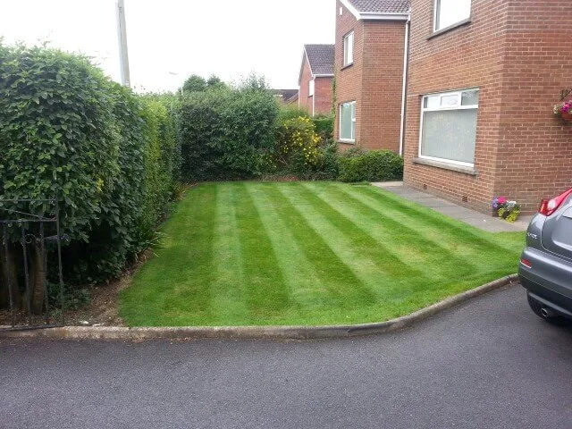 A lawn in greenisland that cut on a 10 day basis