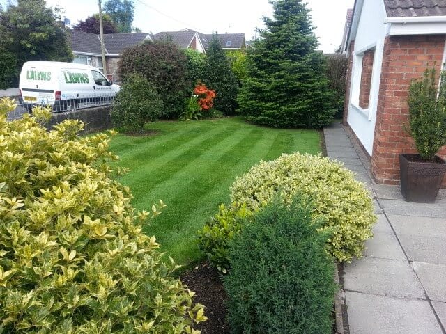 A lawn in jordanstown garden that we mow