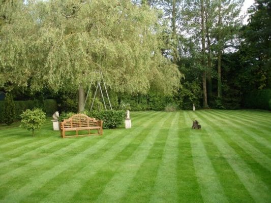 Greenisland garden