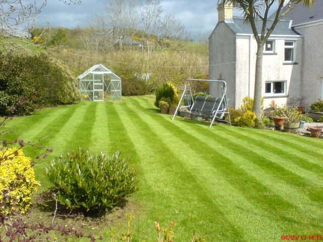 Beautiful striped lawn in Whitehead