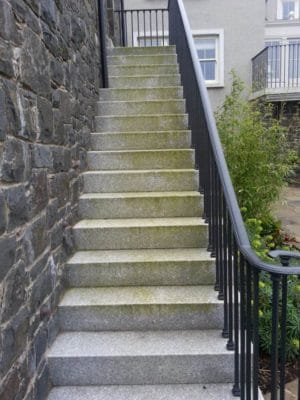steps with algae before treatment