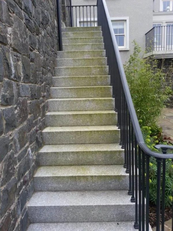 steps with algae before treatment