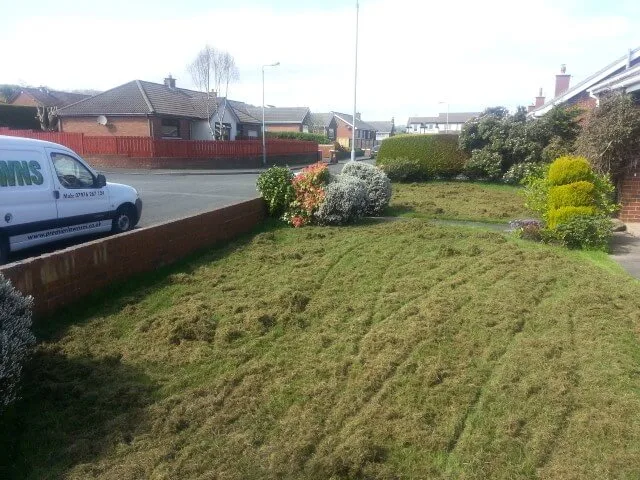whitehead garden scarify