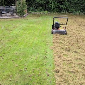 scarifying lawn