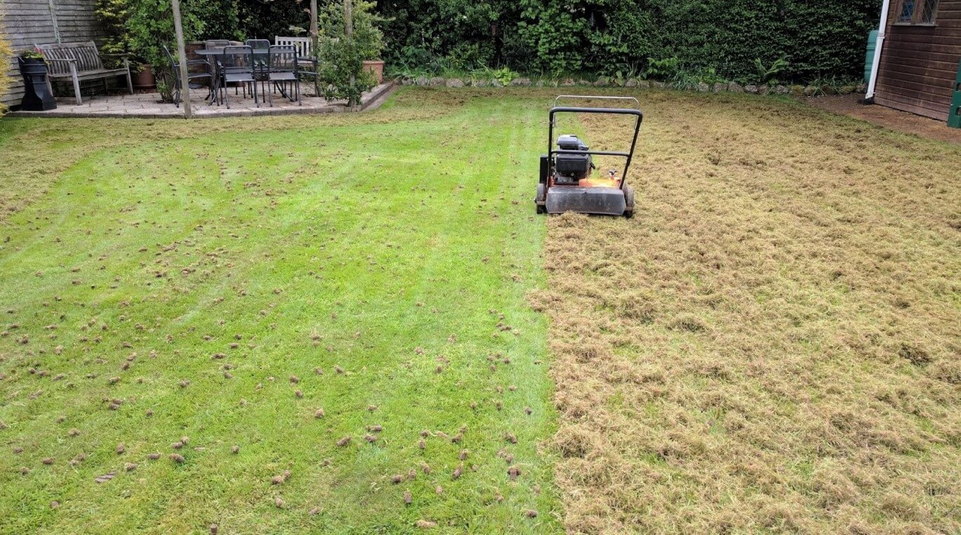 scarifying lawn