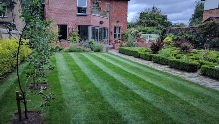 treated with organic seaweed