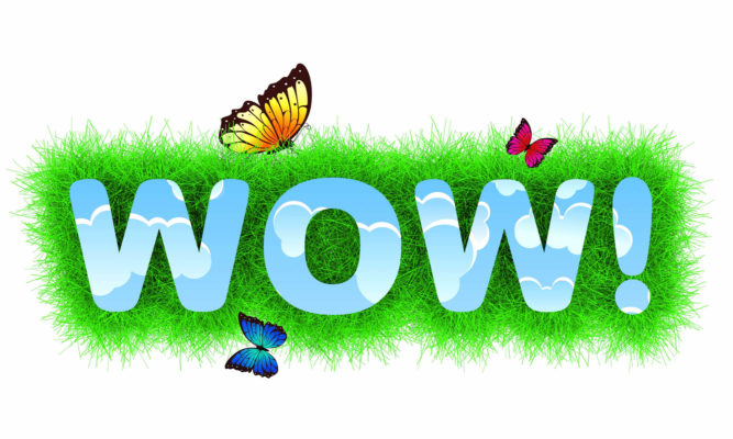 wow lawn