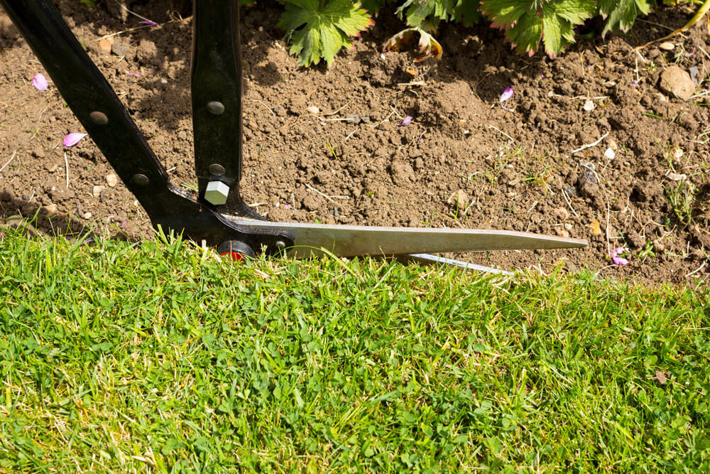 How to mow stripes in your lawn