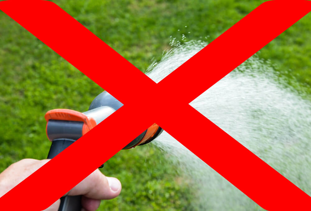 Caring for your garden when there’s a hosepipe ban in place Premier Lawns